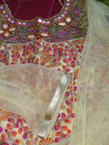 Embroidered Indian Dress