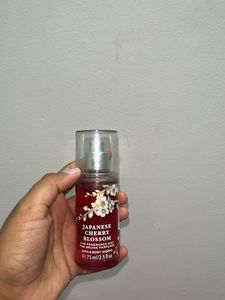 Japanese Cherry Blossom