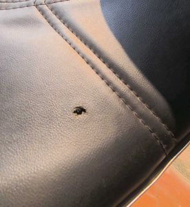 Bar Chair for Office, Shop with Back Support