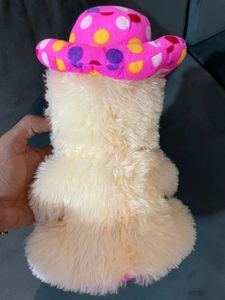 Cute Teddy Bear/soft toy