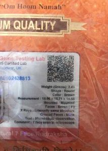 7 Mukhi Rudraksha Pendant