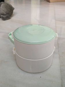 Cute Two-Tier Tiffin