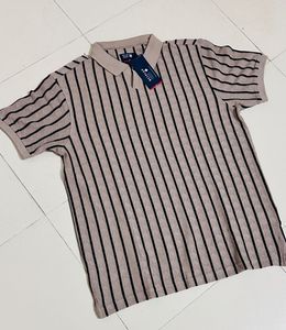 Men Striped Slim Fit Polo T-Shirt