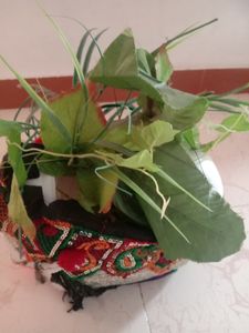 Home Decor Item Flower Pots Combo Of 2