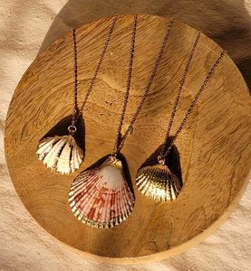 Pinteresty Shell Necklace