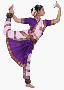 Ready Made bharatnatyam dress