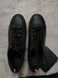 Black Shoe
