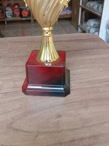 Small Cup Trophy 🏆