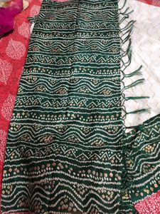 Navratri Chaniya Choli 2