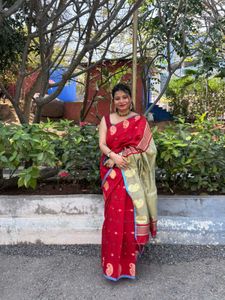 Elegant Maroon Cotton Saree