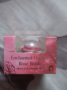 🎉🎉Price Drop🎉🎉 Beauty Blush