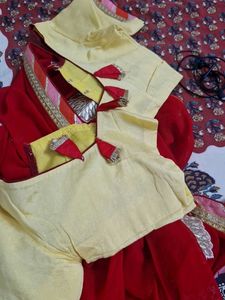 A Beautiful Elegant Ghagra