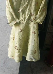 Embroidered Party Dress