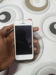 iPhone 5