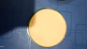 Blue Heaven Compact Powder Natural Shade