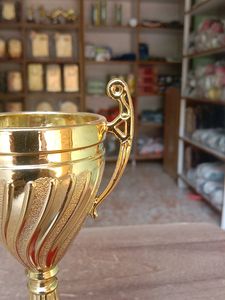 Small Cup Trophy 🏆