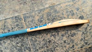 SS WILLOW TON BAT 🏏
