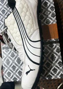 Puma Copy Sports Shoes