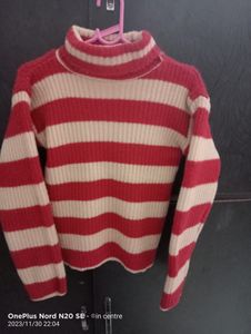 Turtle Nech Pullover For Women Oversized