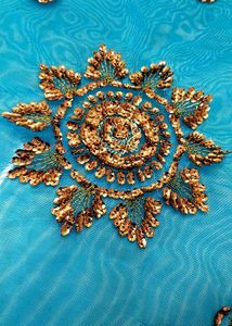 2 Combo Saree Embroidered Blue &amp; Gold Sare