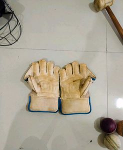 Used Cricket Batting Gloves