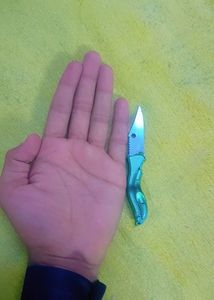 🔪 Small Keychain Knife🌟