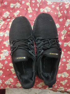 Campus Shoes