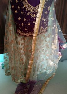 Beautiful Pastel Green Lehnga With Wine Blouse