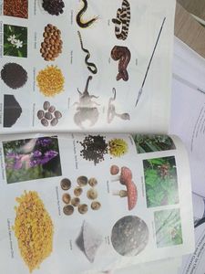 Second Year MBBS Sia Previous Years Question Paper