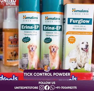 Dog , Cat  Himalayan Tick And Flea Control Powder