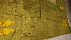 Elegant Olive Dupatta