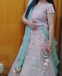 Elegant Light Pink Lehenga