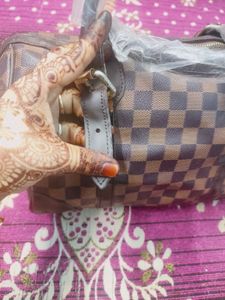 Louis Vuitton New With Teg Handbag