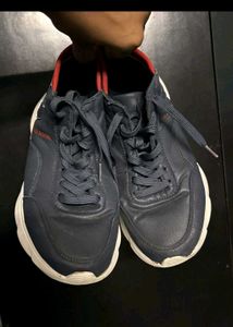 Navy Blue US Polo Assn Sneakers