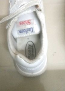 Classic White Canvas Sneakers