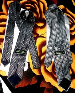 Stylish Ties - Set of 2