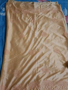 Festive saree With Collar Blouse