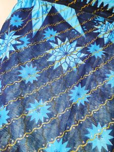 Glittery Blue Saree