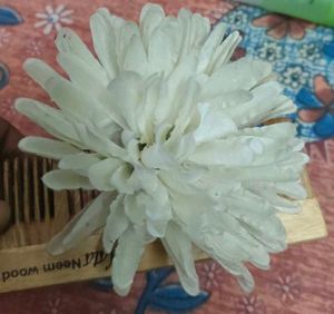 Pearl Hair Accessory