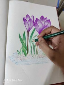 Floral Sketch