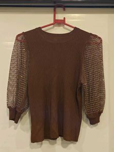 Brown Top with Net Sleeves