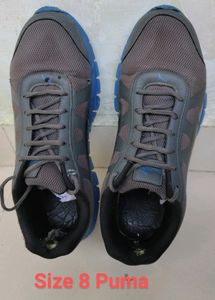 Sports Shoes