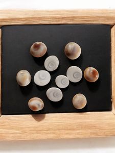 Original Gomti Chakra (Set Of 11p )
