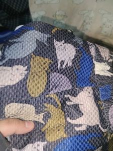 Animal Print Shorts