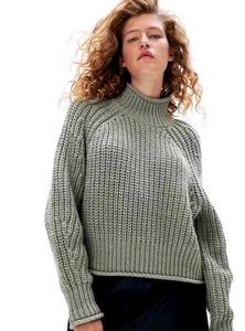 H&amp;M Chunky Turtleneck Knit