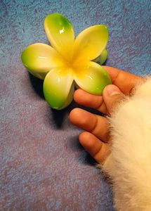 Frangipani Hair Clip