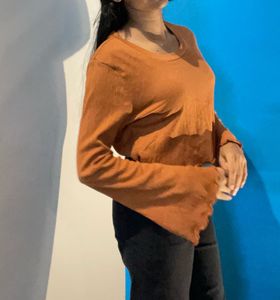 Brown Full Sleeve Crop Top