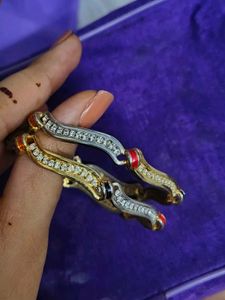 Bangles pair