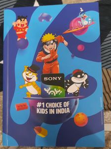 Diary By Sony Yay And Plastic Plate