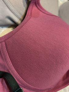 Combo Of 3 Brand New Padded Bra